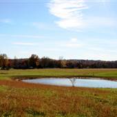 Quiet Country Pasture with a Pond
