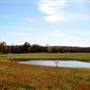 Quiet Country Pasture with a Pond