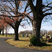 Country Road in a Cemetery