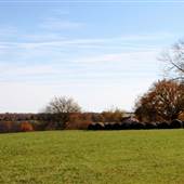 Closer look at the colorful rolling pasture