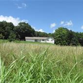 Wooded Acreage