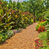 Kansas City Community Gardens