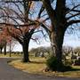 Country Road in a Cemetery