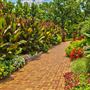 Kansas City Community Gardens