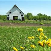 Farm Home