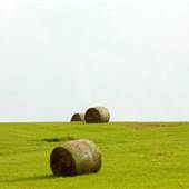Unidentified Landscapes