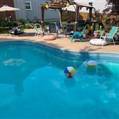 Vintage 1970's Swimming Pool & Yard