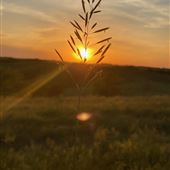 High Hilltop near Weston