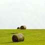 Unidentified Landscapes
