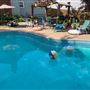Vintage 1970's Swimming Pool & Yard