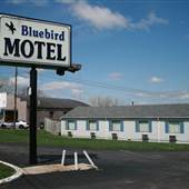Blue Bird Motel