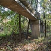 Giant overgrown pipe - Swope Park