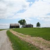 Weston- Tobacco Fields and Home