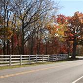 Colorful Country Road