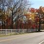 Colorful Country Road
