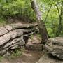 Limestone Outcrop - Swope Park