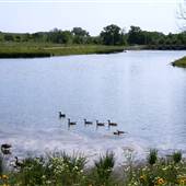 Independence lakes