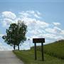 Weston- Vista East from Bend State Park Enterance