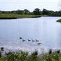 Independence lakes