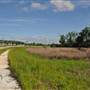 Independence - Little Blue Pkwy