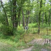 Mosby Area and Woods