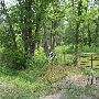 Mosby Area and Woods